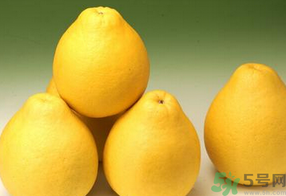 柚子什么時(shí)候上市？柚子什么時(shí)候成熟？