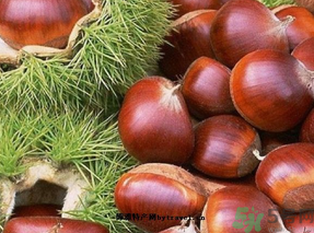 生板栗怎么保存？?板栗如何保存能放更久