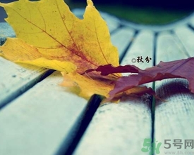 秋分出生的人怎么起名？秋分出生的人的命運？