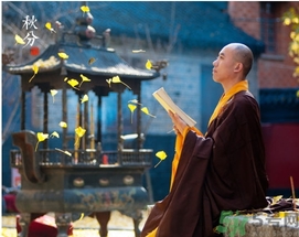 秋分喝什么茶？秋分養(yǎng)生茶飲推薦