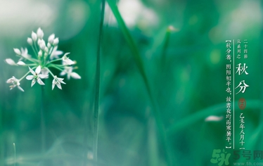 秋分喝什么茶？秋分養(yǎng)生茶飲推薦