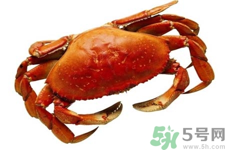 大閘蟹如何保存？大閘蟹死了還能吃嗎？