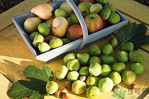 蘋果和梨子可以一起榨汁嗎？蘋果和梨子可以一起吃嗎？