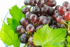 蘋果和提子可以同吃嗎？蘋果和提子可以榨汁嗎？