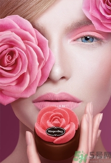 哈根達斯玫瑰傳奇月餅好吃嗎？哈根達斯玫瑰傳奇月餅多少錢？