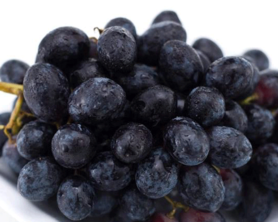 黑加侖皮能吃嗎？黑加侖皮的功效