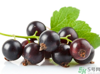 孕婦能吃黑加侖嗎？孕婦吃黑加侖好嗎？