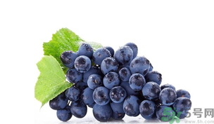 孕婦能吃黑加侖嗎？孕婦吃黑加侖好嗎？