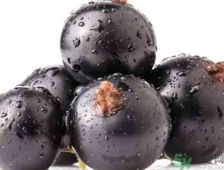 黑加侖是葡萄嗎？黑加侖和葡萄的區(qū)別