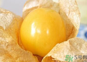 姑娘果孕婦可以吃嗎？孕婦吃了姑娘果怎么辦？