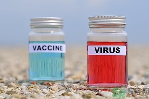 寨卡病毒會導(dǎo)致死亡嗎？寨卡病毒對人體的危害