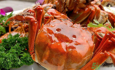 九月份吃公蟹還是母蟹？公蟹和母蟹哪個更好吃？