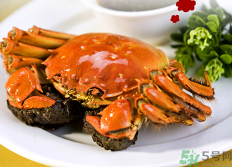 九月份吃公蟹還是母蟹？公蟹和母蟹哪個更好吃？