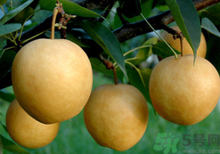 喉嚨痛可以吃月餅嗎？喉嚨痛吃什么好？