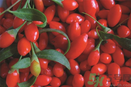 枸杞可以減肥嗎？枸杞減肥的方法是什么？