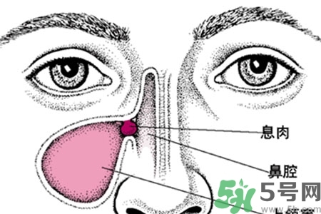 鼻子不通氣是怎么回事？鼻子不通氣怎么辦？