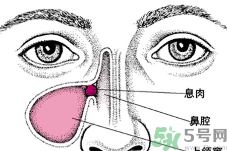 鼻子出血怎么辦？鼻子出血的原因是什么？