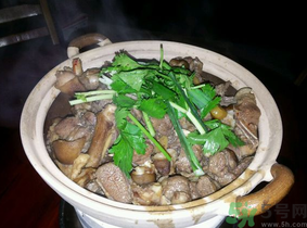 狗肉怎么做好吃？狗肉的做法