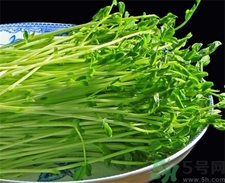 豌豆苗的營養(yǎng)價值 豌豆苗的功效與作用 豌豆苗的營養(yǎng)價值 豌豆苗的功效與作用