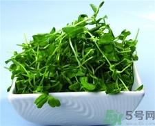 豌豆苗的營養(yǎng)價值 豌豆苗的功效與作用 豌豆苗的營養(yǎng)價值 豌豆苗的功效與作用