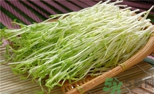 豌豆苗的營養(yǎng)價值 豌豆苗的功效與作用 豌豆苗的營養(yǎng)價值 豌豆苗的功效與作用