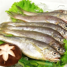 小黃魚怎么清洗?小黃魚怎么處理? 小黃魚怎么清洗?小黃魚怎么處理?