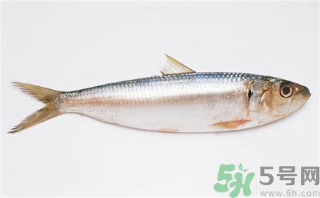 小黃魚怎么清洗?小黃魚怎么處理? 小黃魚怎么清洗?小黃魚怎么處理?