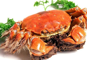 螃蟹什么季節(jié)最好吃？螃蟹幾月份吃最好？