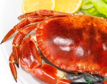 螃蟹可以帶上火車嗎？螃蟹可以帶上動車嗎？