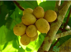 吃龍功果會(huì)上火嗎？龍功果的功效