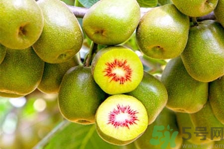 獼猴桃怎么去皮？如何挑選獼猴桃？