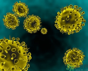 寨卡病毒會(huì)自己好嗎？寨卡病毒能自愈嗎？