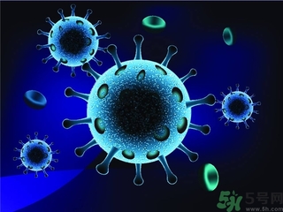 寨卡病毒會(huì)自己好嗎？寨卡病毒能自愈嗎？