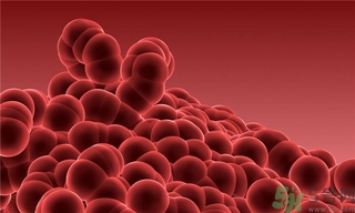 寨卡病毒會(huì)自己好嗎？寨卡病毒能自愈嗎？