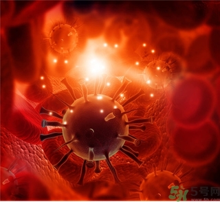 寨卡病毒會導(dǎo)致死亡嗎？寨卡病毒對人體的危害