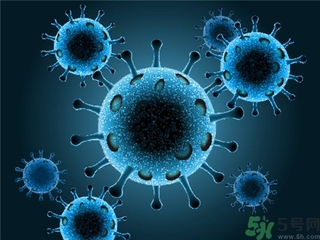 寨卡病毒會(huì)自己好嗎？寨卡病毒能自愈嗎？