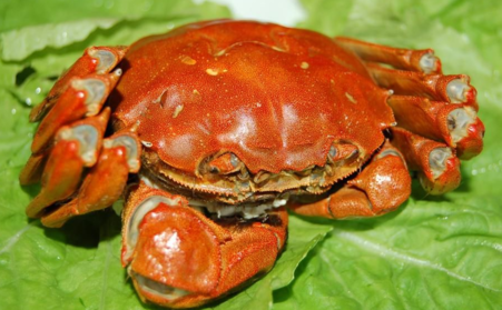 大閘蟹什么時(shí)候上市？大閘蟹幾月份上市？