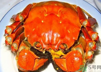 大閘蟹什么季節(jié)吃最好？吃大閘蟹的季節(jié)