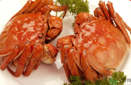 吃螃蟹中毒了怎么辦？吃螃蟹中毒了吃什么藥？