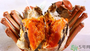 怎樣辨別陽澄湖大閘蟹？陽澄湖大閘蟹真假辨別
