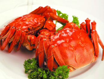 大閘蟹什么時(shí)候上市？大閘蟹幾月份上市？