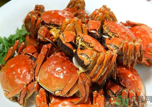 怎樣辨別陽澄湖大閘蟹？陽澄湖大閘蟹真假辨別