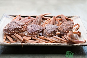 螃蟹怎么保存才新鮮？活螃蟹怎么保存過夜？