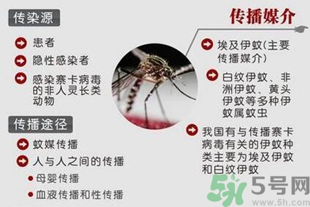 寨卡病毒是如何傳播的？寨卡病毒傳播途徑是什么？