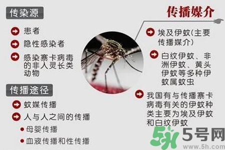 寨卡病毒會死人嗎？寨卡病毒會死嗎？