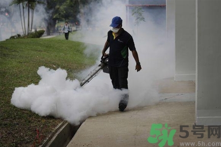 寨卡病毒會死人嗎？寨卡病毒會死嗎？