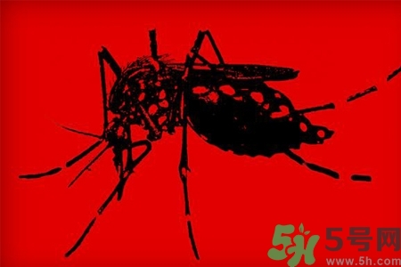 寨卡病毒會死人嗎？寨卡病毒會死嗎？