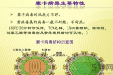 寨卡病毒對孕婦有危害嗎？寨卡病毒對孕婦的危害有哪些？