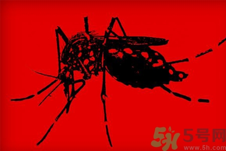 寨卡病毒對孕婦有危害嗎？寨卡病毒對孕婦的危害有哪些？