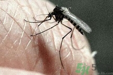 寨卡病毒對(duì)兒童的影響有哪些？寶寶如何避免及預(yù)防？